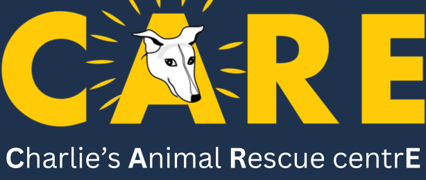 CARE Logo